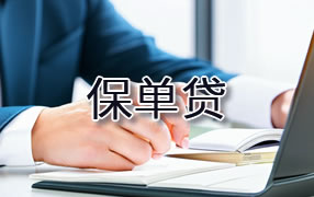 枣庄保单贷