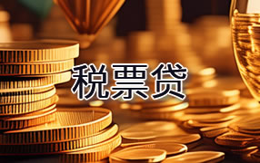 枣庄税票贷